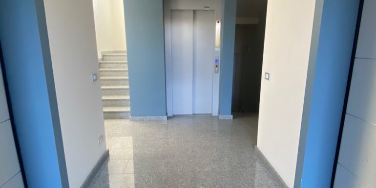 IMG-0607