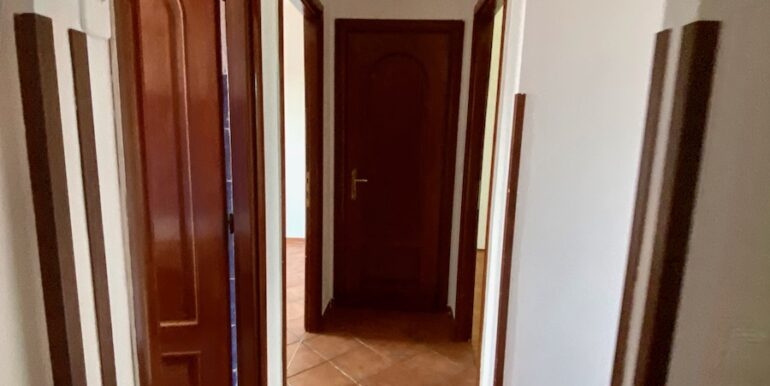 IMG_0619