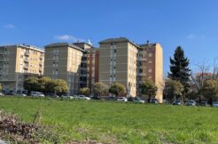 Biella Via Cerruti Appartamento In vendita