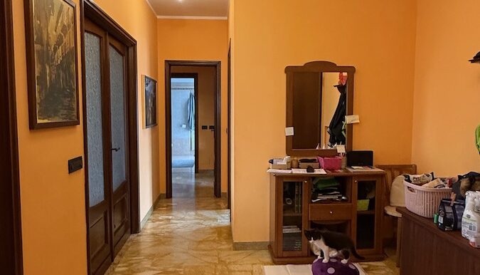IMG_9085