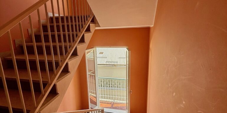 IMG_2350